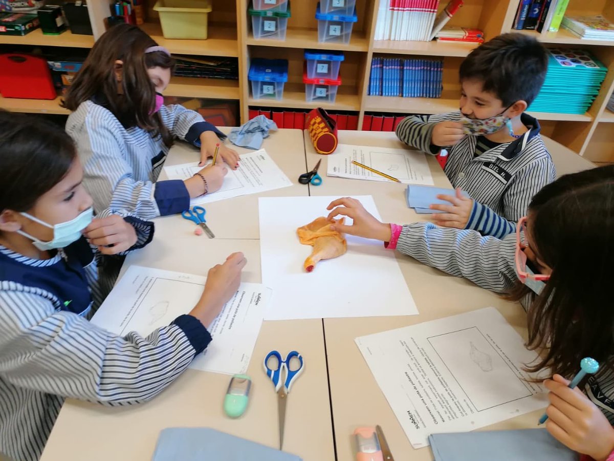 epiasabadell's tweet photo. QUÈ PASSARIA SI NO TINGUÉSSIM ESQUELET?
El nostre itinerari continua ENDAVANT! La setmana passada vam veure de primera mà les diferents parts de l'aparell locomotor. VA SER TOTA UNA EXPERIÈNCIA!
#3RPRIPIASABADELL
#SUMMEMPIASABADELL https://t.co/ZXjaazic7f