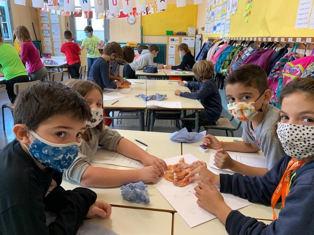 epiasabadell's tweet photo. QUÈ PASSARIA SI NO TINGUÉSSIM ESQUELET?
El nostre itinerari continua ENDAVANT! La setmana passada vam veure de primera mà les diferents parts de l'aparell locomotor. VA SER TOTA UNA EXPERIÈNCIA!
#3RPRIPIASABADELL
#SUMMEMPIASABADELL https://t.co/ZXjaazic7f