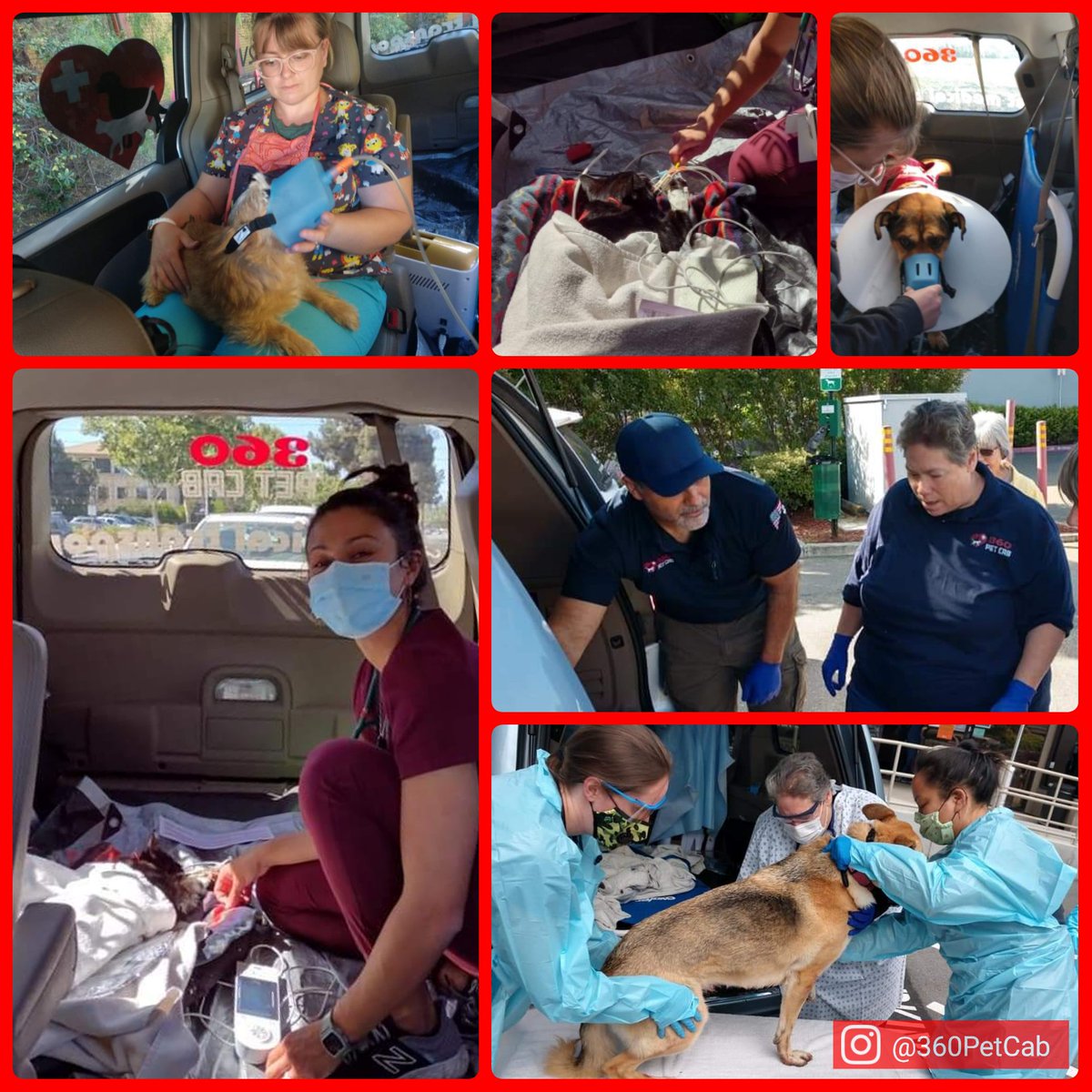 360PetCab's tweet photo. We couldn't be the number one #pettransport business in the #SFBayArea w/o our amazing vet techs!Thank you for your dedication, care &amp; service. ❤🐾
#thankyouvettechs #NationalVeterinaryTechnicianWeek #vettechlife #VetTechAppreciationWeek #360petcab https://t.co/tM443C5ILV