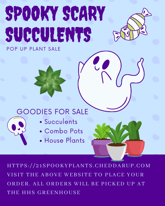 Trick or Treat yourself to our first Student Pop Up Plant Sale. 

All plants students grown and created to add something extra to your spooking decorations.

Check it out: 21spookyplants.cheddarup.com