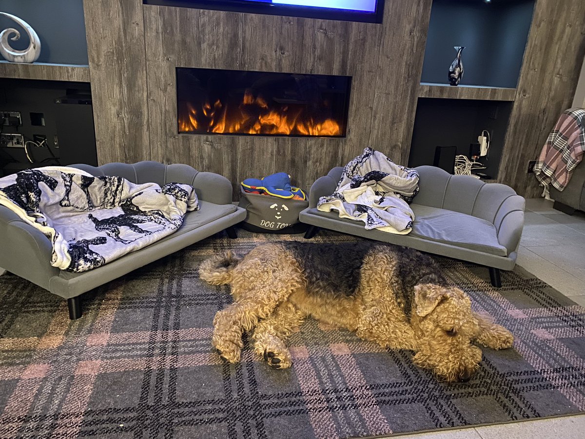 LakeaireH's tweet photo. Loving our new beds 😂 https://t.co/GFZEWvIzcE