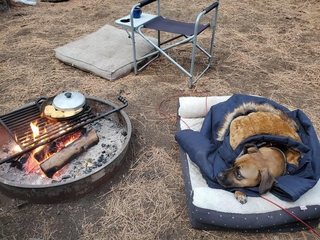Nothing better than getting warm by the campfire!⁠
-⁠
-⁠
-⁠
-⁠

📸 instagram.com/p/CVTJtC2jIcA/ via tweet.photo