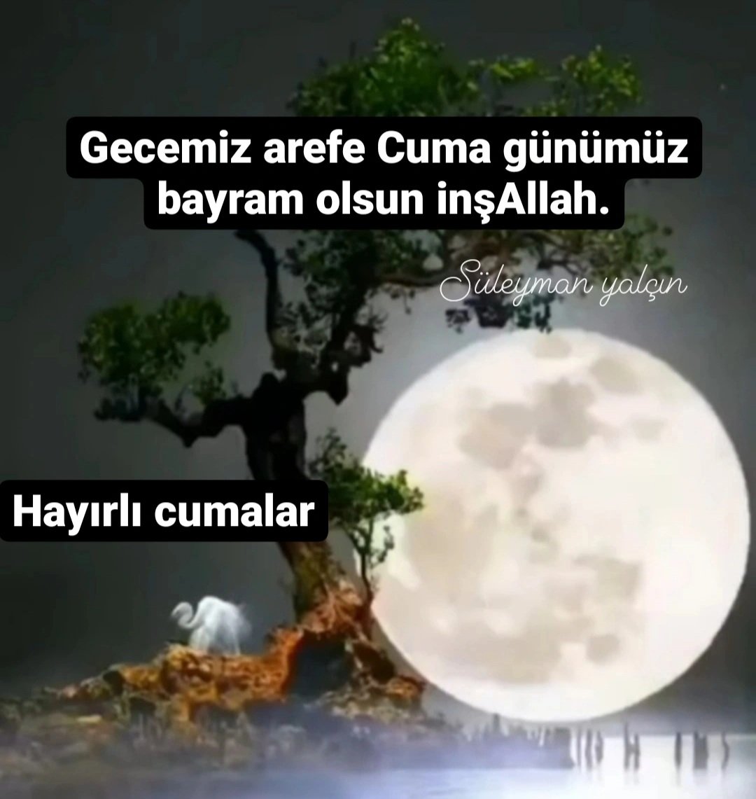 Süleyman yalçın (@suleyman3441) on Twitter photo 