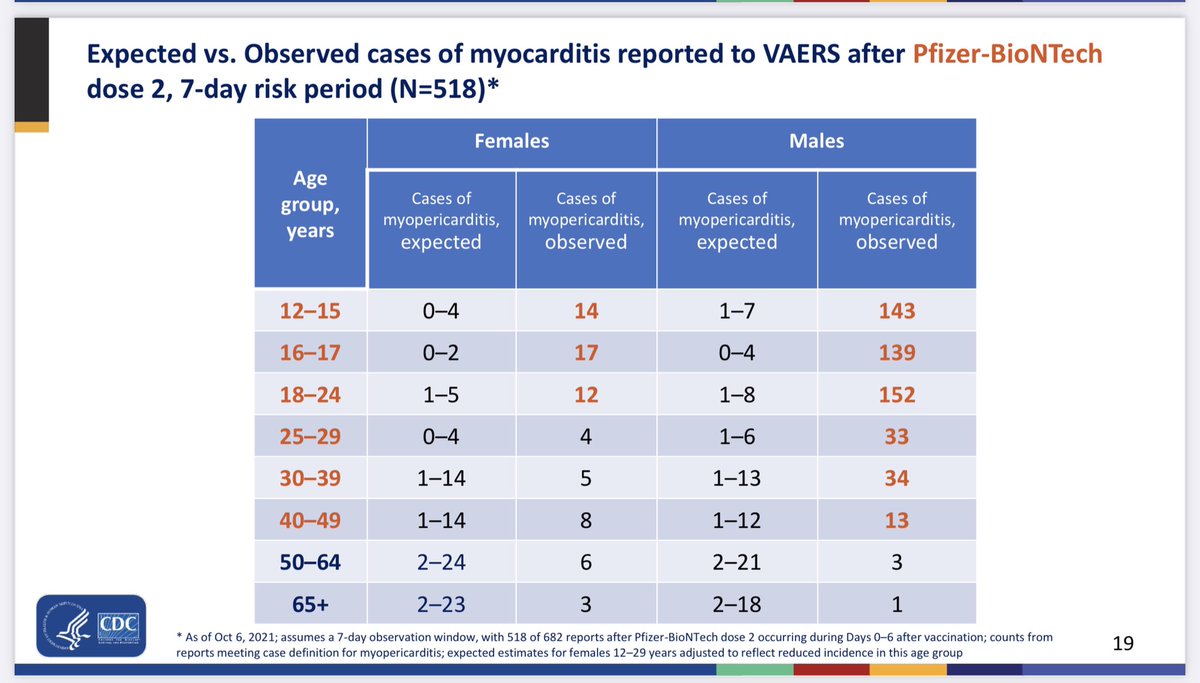 Patricia Bruijning tweet media
