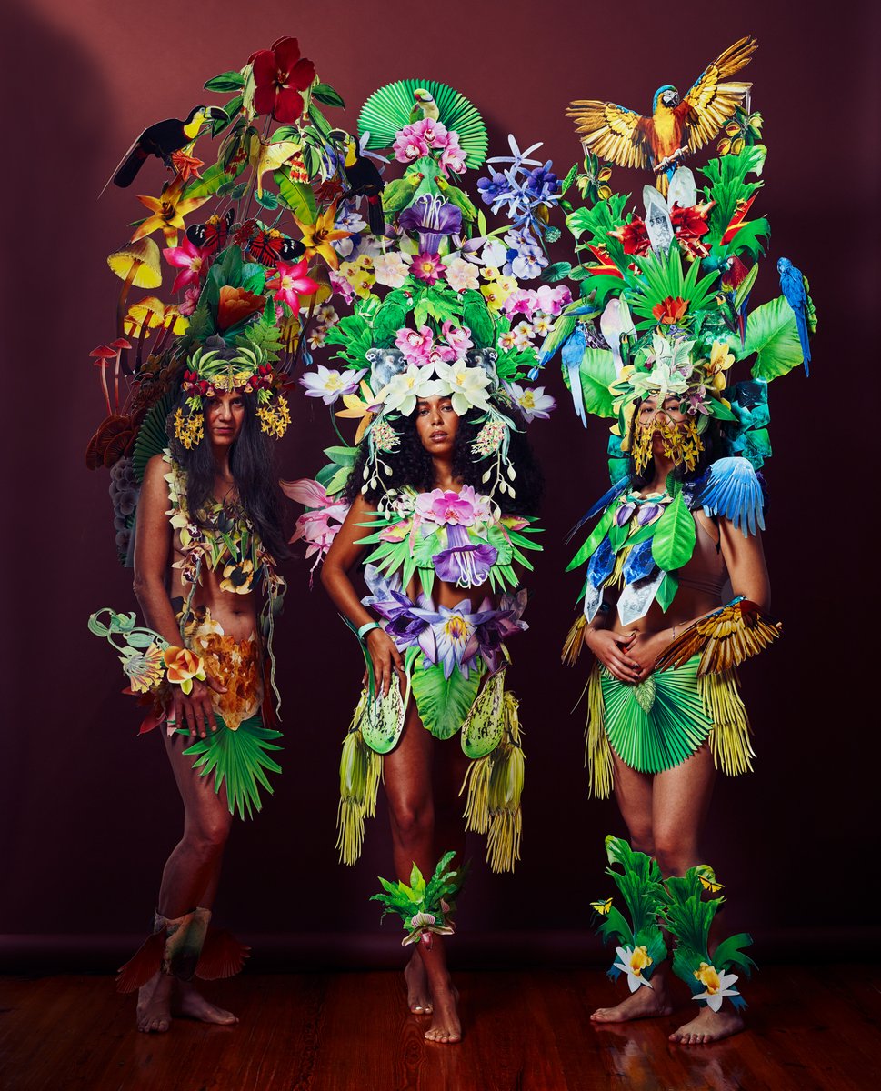 International artist &amp; Terra.do Fellow <a href="/ClareCeleste/">Clare Celeste Börsch</a> has released her latest series, 'Earth Deities': a stunning array of hand-cut paper collage costumes - to raise awareness on #biodiversity loss &amp; its links with #foodsecurity, #publichealth, + #indigenous rights.