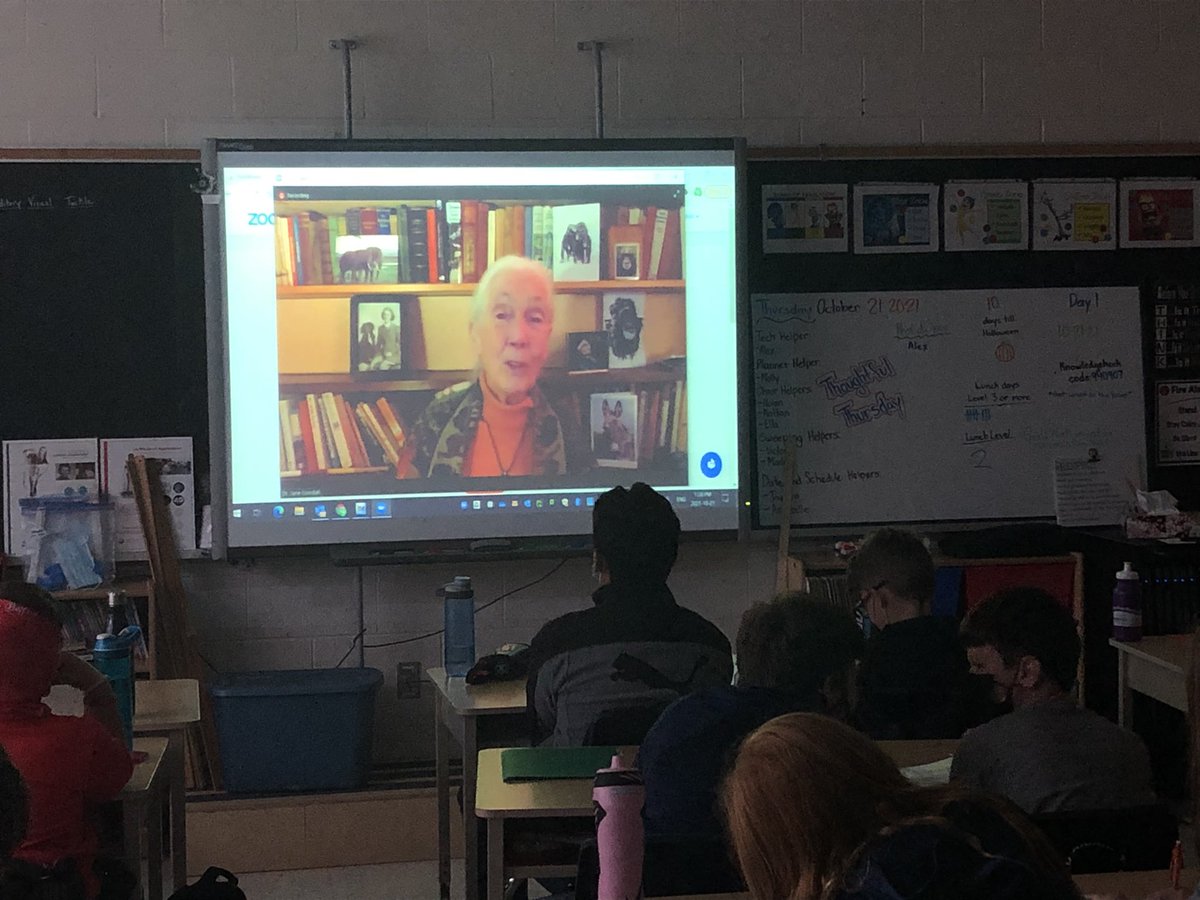 What? Grade 6 Ss @TVDSB @ParkviewPS_K on a Zoom meeting with the one and only @JaneGoodallCAN !… A big thank you to Colin Harris @takemeoutside for organizing this for schools in 🇨🇦. Jane Goodall you are truly inspiring❤️