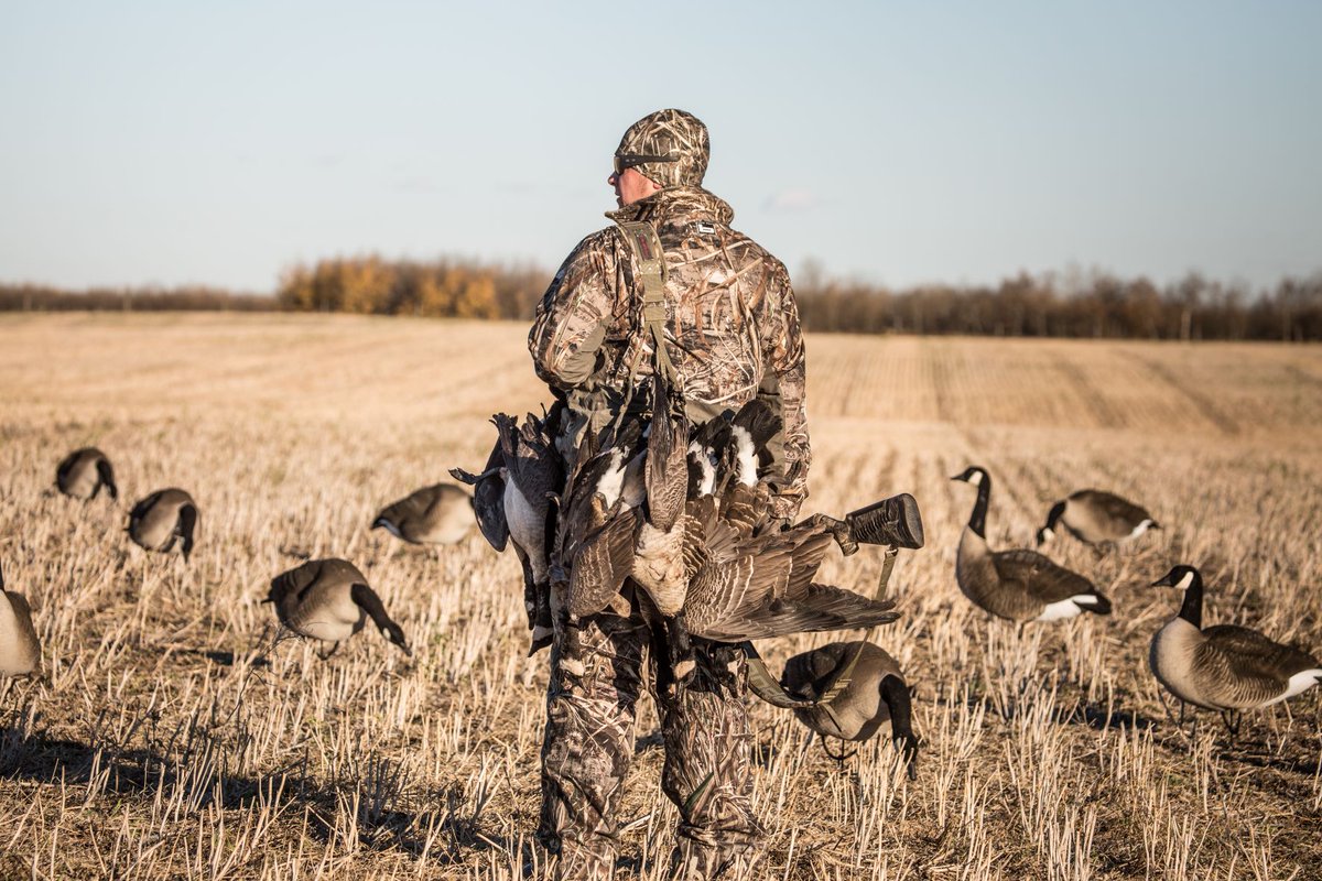 SPORTSMANchnl's tweet image. Have you ever had a Pulled Goose Sandwich? Well, see the Canada goose hunt and how the Beldings put it all together in Episode 3 of The Provider. Catch this hunt and recipe video and the full digital series now at bddy.me/2Zf4Fqx.

#GooseHunt #GooseRecipe #TheProvider