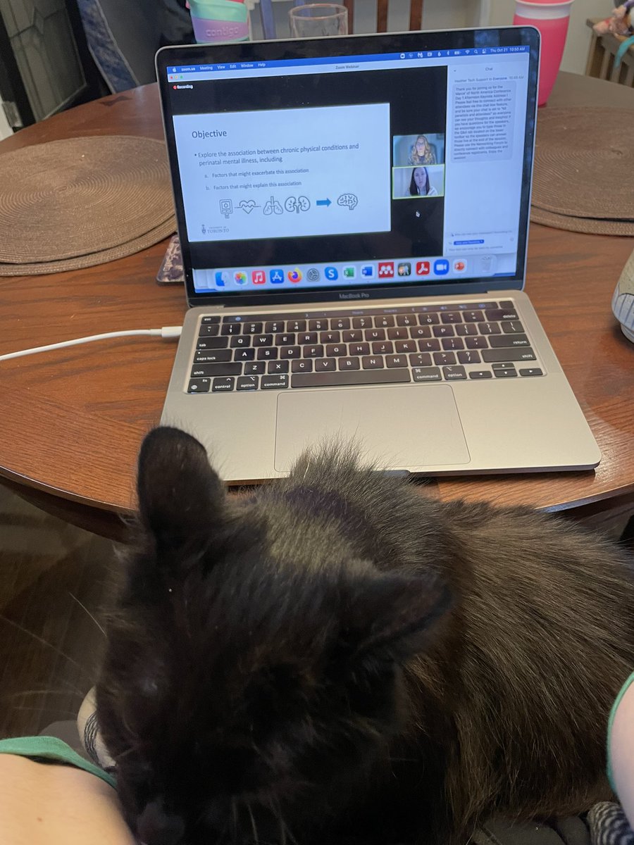 catriona_hippma's tweet photo. Lenny and I are excited to be joining #MONA2021 @Marcenortham #MONApets https://t.co/vys6tmzVbA