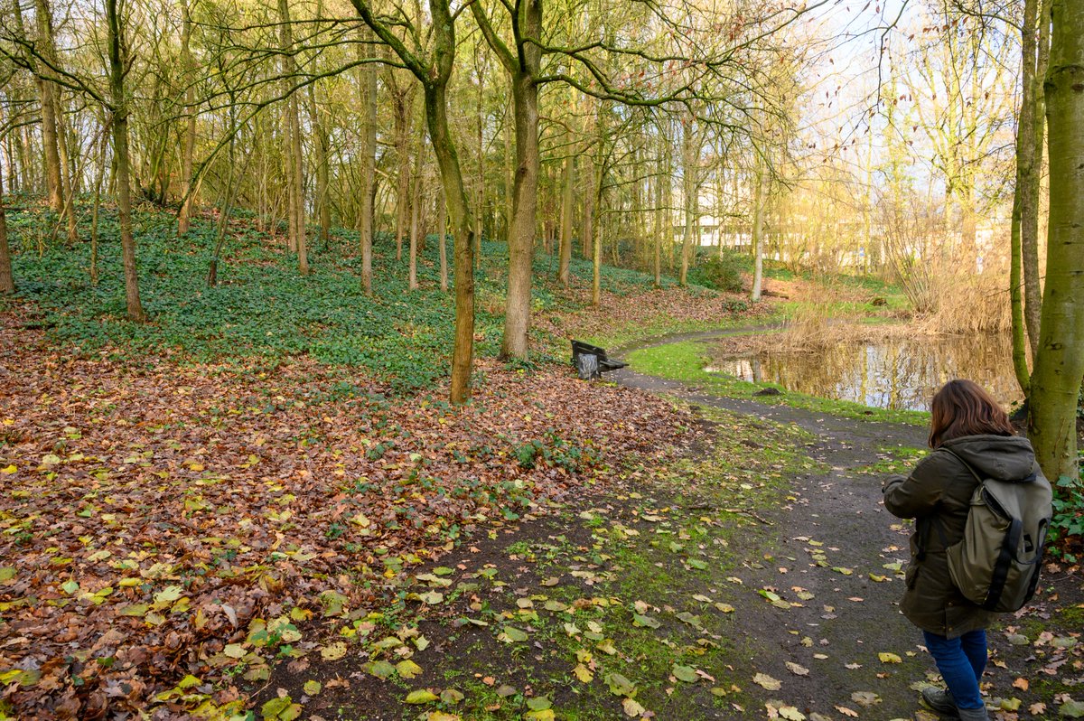 Oh wat is het al onstuimig en fris! Echt Herfst. Lees er meer over in de nieuwsbrief van oktober.
Een stuk over het media natuurpark door Echinops Tuinontwerp &amp; Advies, een ontwerp van Tuin van de Buren en nog veel meer. Lees erover via
 
wildeweelde.nl/nieuwsbrief-wi…