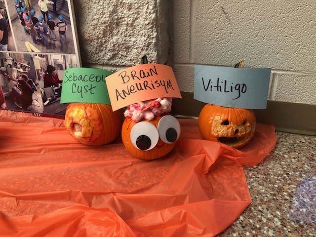 webco_atc's tweet photo. 🎃Health Science students finished their pumpkins that display a variety of various medical diagnoses. You can see them all on display in the ATC breezeway! 

#1WC #HalloweenHealthScience https://t.co/uTnMls6nMX