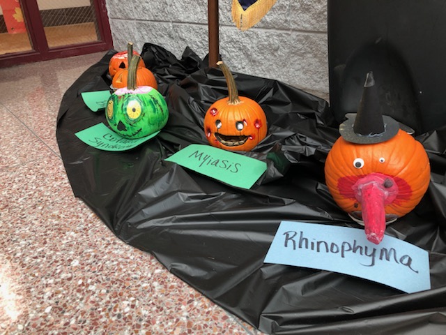 webco_atc's tweet photo. 🎃Health Science students finished their pumpkins that display a variety of various medical diagnoses. You can see them all on display in the ATC breezeway! 

#1WC #HalloweenHealthScience https://t.co/uTnMls6nMX