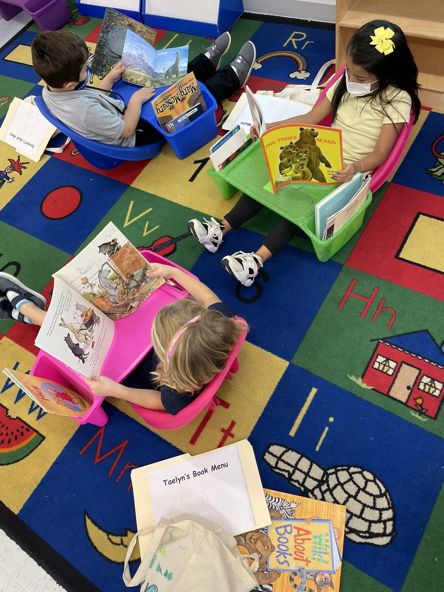 flexible seating in our literacy center 📚