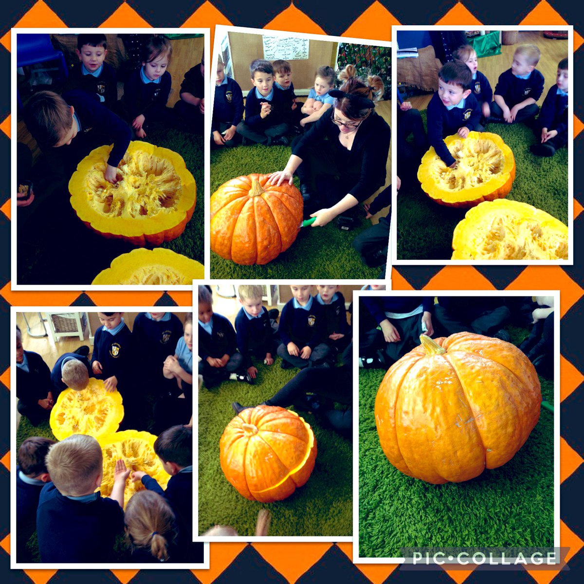 St_Leonards_RC's tweet photo. Holly: Today felt like a pumpkin carving day! The giant pumpkin we’ve been wondering about all week was cut open today and we had a good feel around inside, a smell, and some of us had a taste! Autumn gives us so much. #stleonardsholly #stleonardsscience #stleonardsaweandwonder https://t.co/zfQCvh5czS