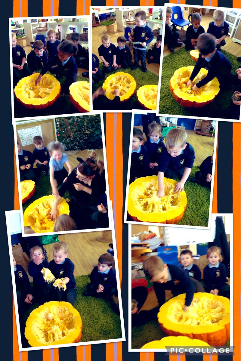St_Leonards_RC's tweet photo. Holly: Today felt like a pumpkin carving day! The giant pumpkin we’ve been wondering about all week was cut open today and we had a good feel around inside, a smell, and some of us had a taste! Autumn gives us so much. #stleonardsholly #stleonardsscience #stleonardsaweandwonder https://t.co/zfQCvh5czS