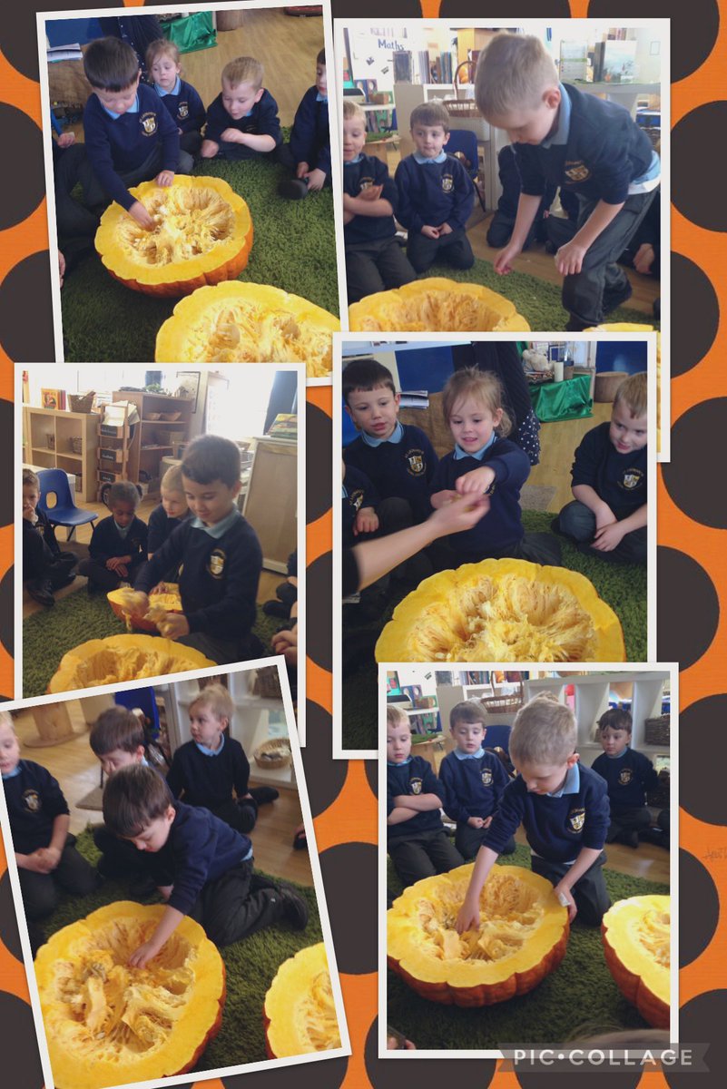 St_Leonards_RC's tweet photo. Holly: Today felt like a pumpkin carving day! The giant pumpkin we’ve been wondering about all week was cut open today and we had a good feel around inside, a smell, and some of us had a taste! Autumn gives us so much. #stleonardsholly #stleonardsscience #stleonardsaweandwonder https://t.co/zfQCvh5czS