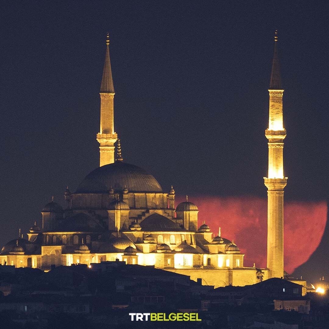 TRTBelgesel's tweet photo. İstanbul'da dolunay 🌕

📸: İsa Terli, AA https://t.co/m7L4EjWNAS