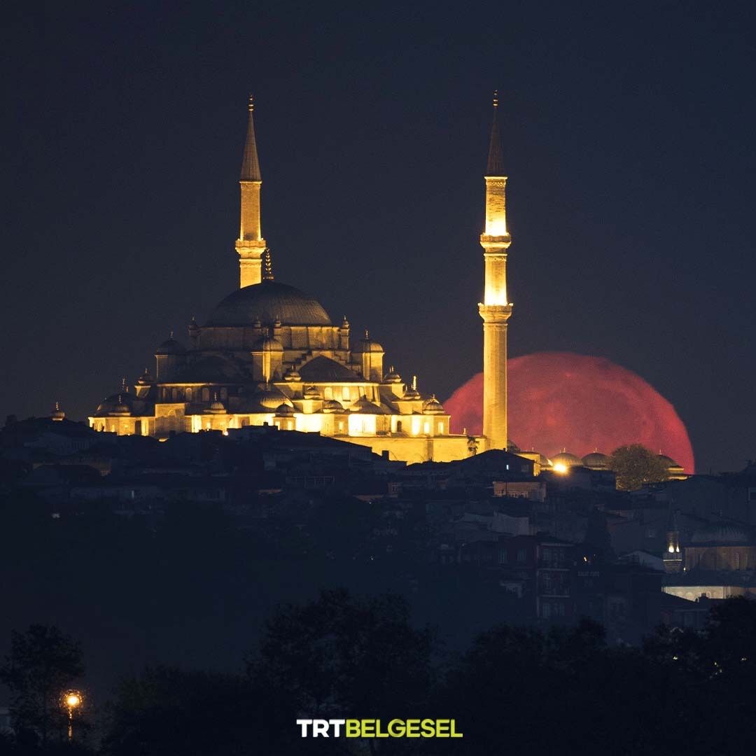 TRTBelgesel's tweet photo. İstanbul'da dolunay 🌕

📸: İsa Terli, AA https://t.co/m7L4EjWNAS