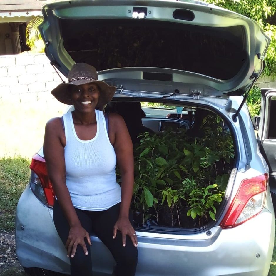 Trees That Feed tweet media