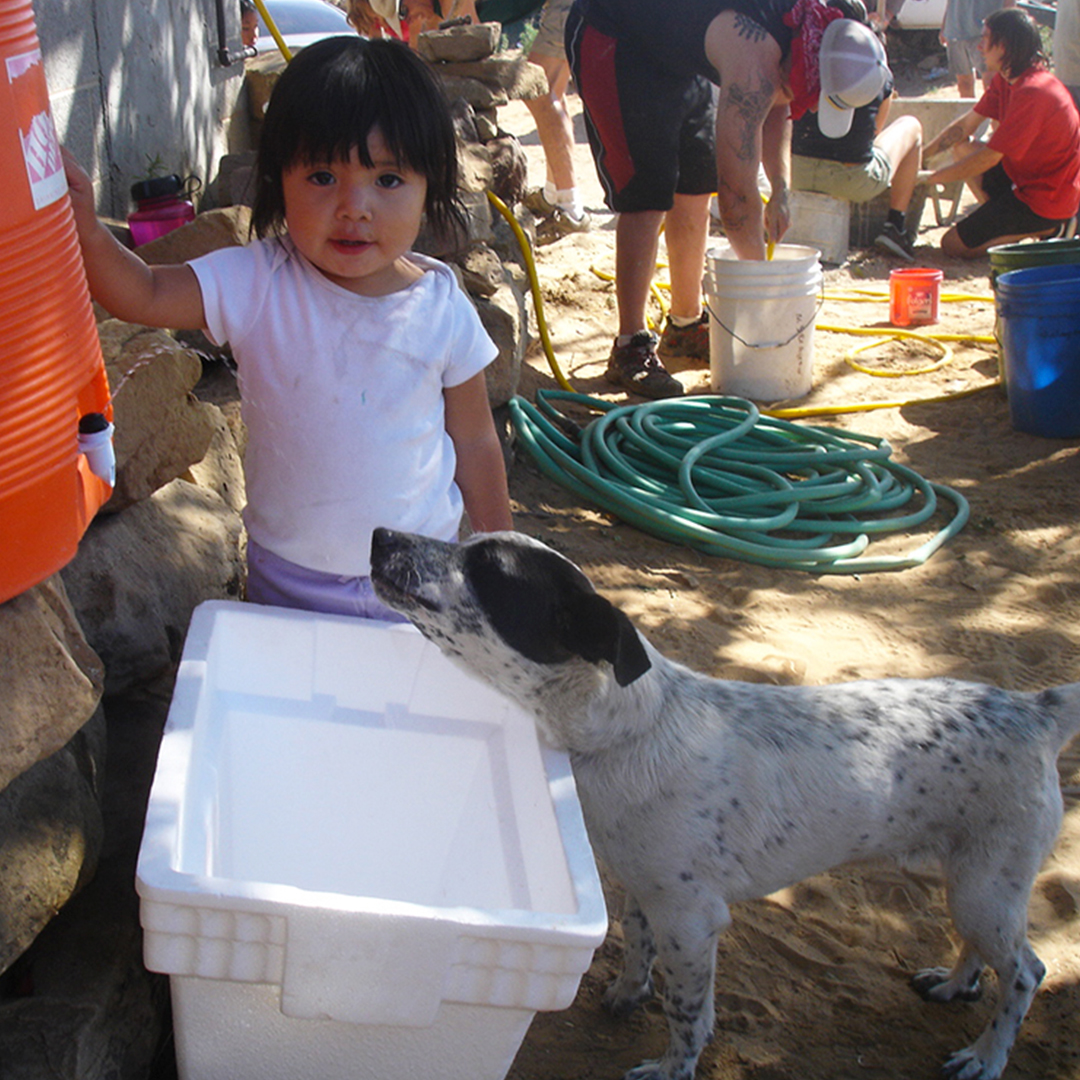 cdfi's tweet image. Clearinghouse CDFI Helps Fund Native COVID Resilience and Recovery Program via AHEAD Grant to Red Feather Development Group: ow.ly/bqPu50Gv0ST   @RedFeatherDG  @FHLBankSF  #nativelending #Hopitribe #navajonation #cdfi #communitylending #aheadgrant #covidrecovery #health