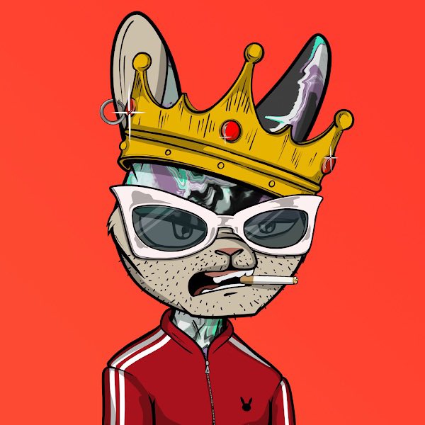 MadRabbitsRC's tweet photo. We feel you should join our amazing community and if we win we will give away a Mad Rabbit to someone who likes and RTs our post!!! 🔥 https://t.co/oa2pjzeeuZ