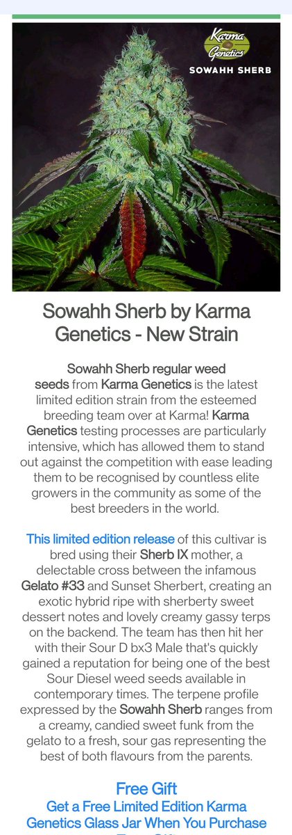 PotMarijuana's tweet photo. Pfffft, woke up to this... ordered! 

#BeanFiend
#Mmemberville
#CannabisCommunity 
#StonerFam https://t.co/L84zuqhKkc