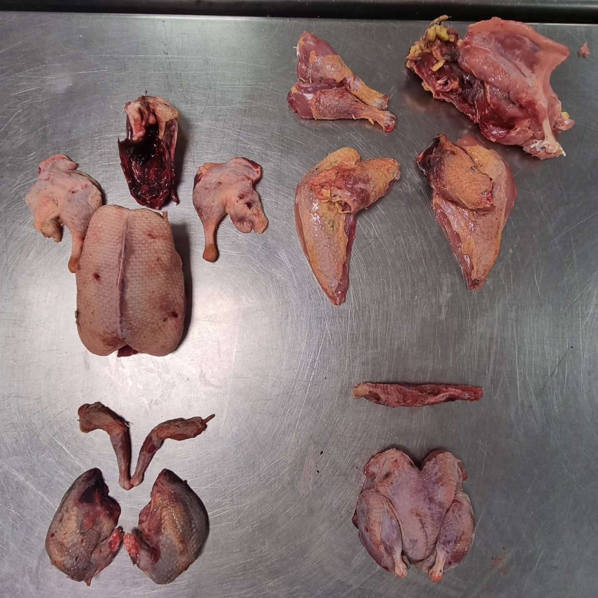 wildfoodboy's tweet photo. Game bird and Poultry development lesson with my 3rd years today @Westking 
game birds from @lincsgameltd where fantastic quality #game #chefsschool #gamecookery #chefs #gametoeat #eatgame https://t.co/vMU0K2wwUt