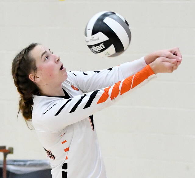 Lady Hurricane VB🏐 tweet media
