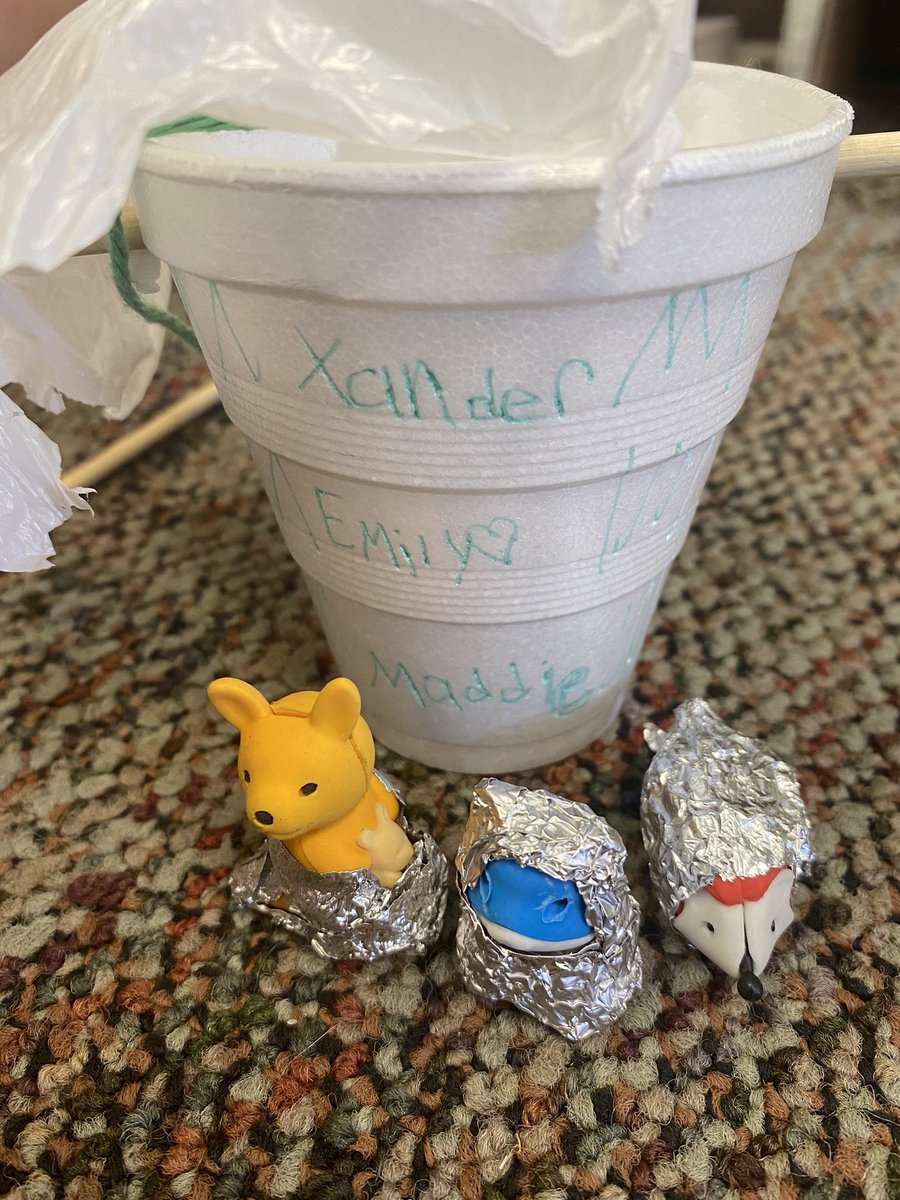 fifthandcoffee's tweet photo. Our grand finale of RYS is our Apollo 13 egg drop! We finished our novel study, prepped our desk pet astronauts and are about to watch our final capsules (hopefully) bring our astronauts home safely! 🤞🏼#ocpsRYS #ImpactCDL @KeenesCrossingE @West_OCPS https://t.co/3zXDcyLvna