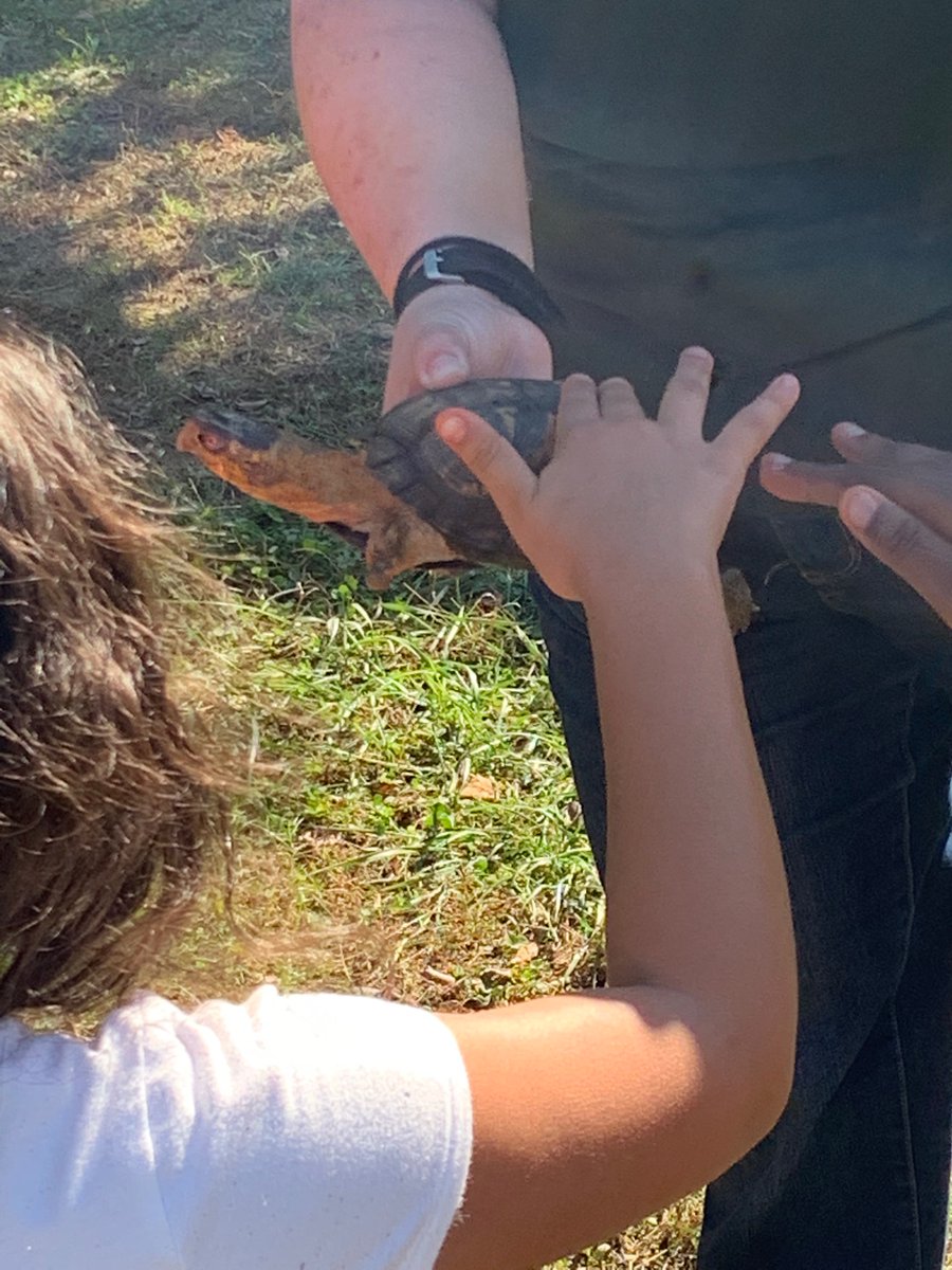 CampbellExtday's tweet photo. Fun with animals in Fall! https://t.co/tChlc8iE8s
