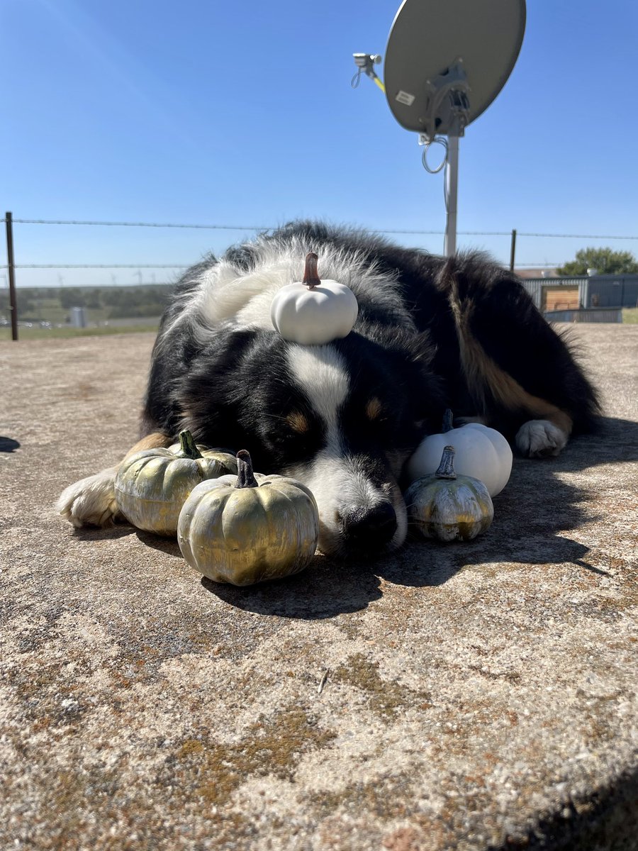 Brooklynnjayde's tweet image. FB saw it first😌