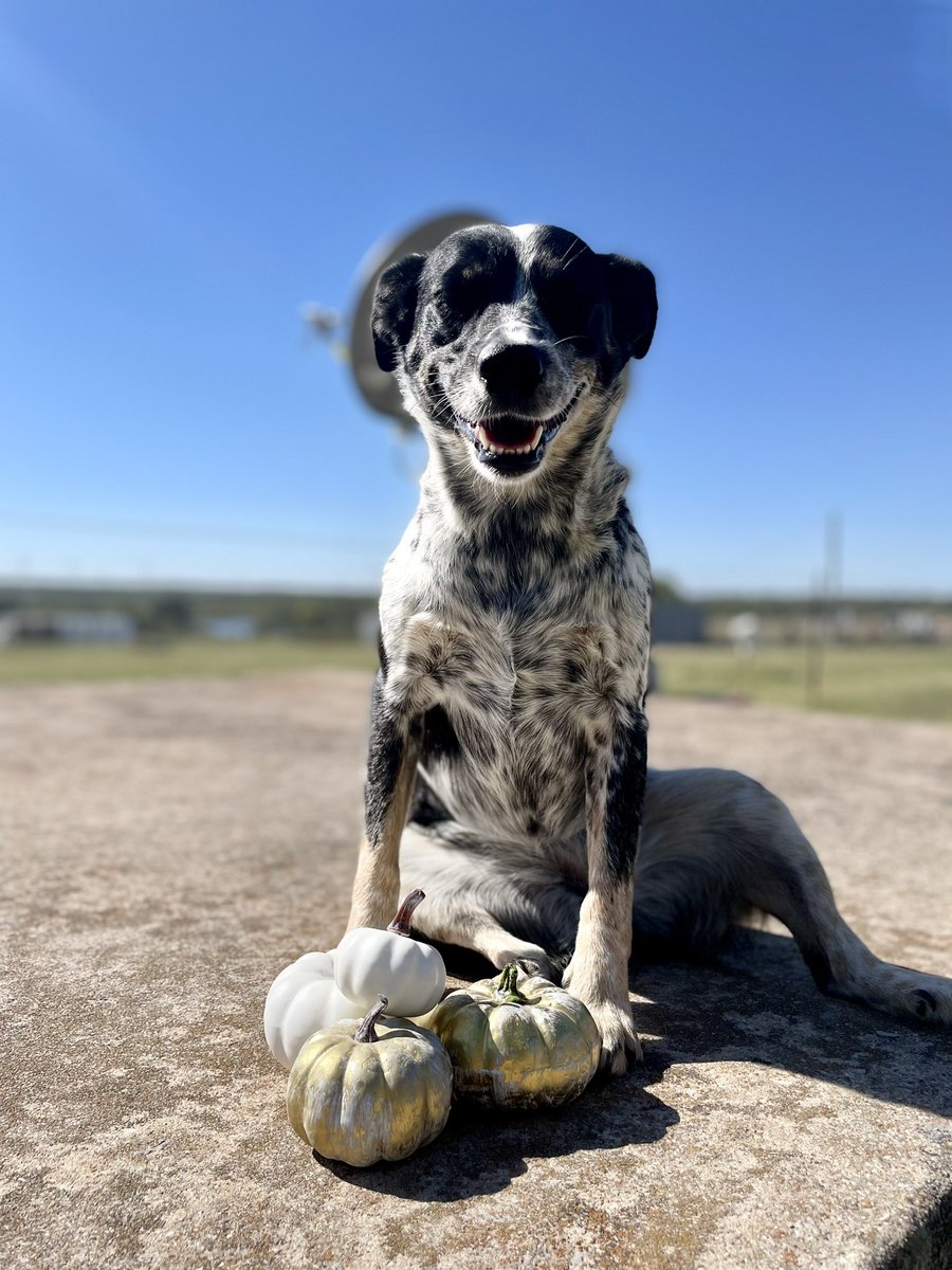 Brooklynnjayde's tweet image. FB saw it first😌