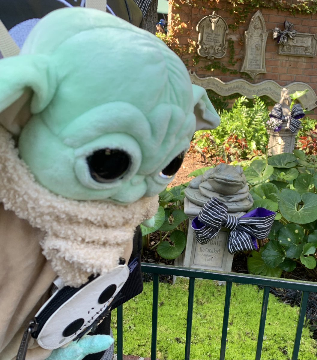 JamesRuin1's tweet photo. When you are finished with lunch but are still hungry. 

#StarWars #Mandalorian #disneyland https://t.co/JEamoo5Eml