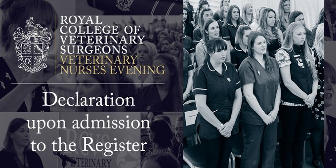 theRCVS's tweet photo. Next, VNC chair Matthew Rendle RVN takes the newly qualified VNs through their professional declaration, a momentous occasion that marks the formal start of their professional career and demonstrates their commitment to practising as VNs #VNevening https://t.co/N8mXJNtVNj