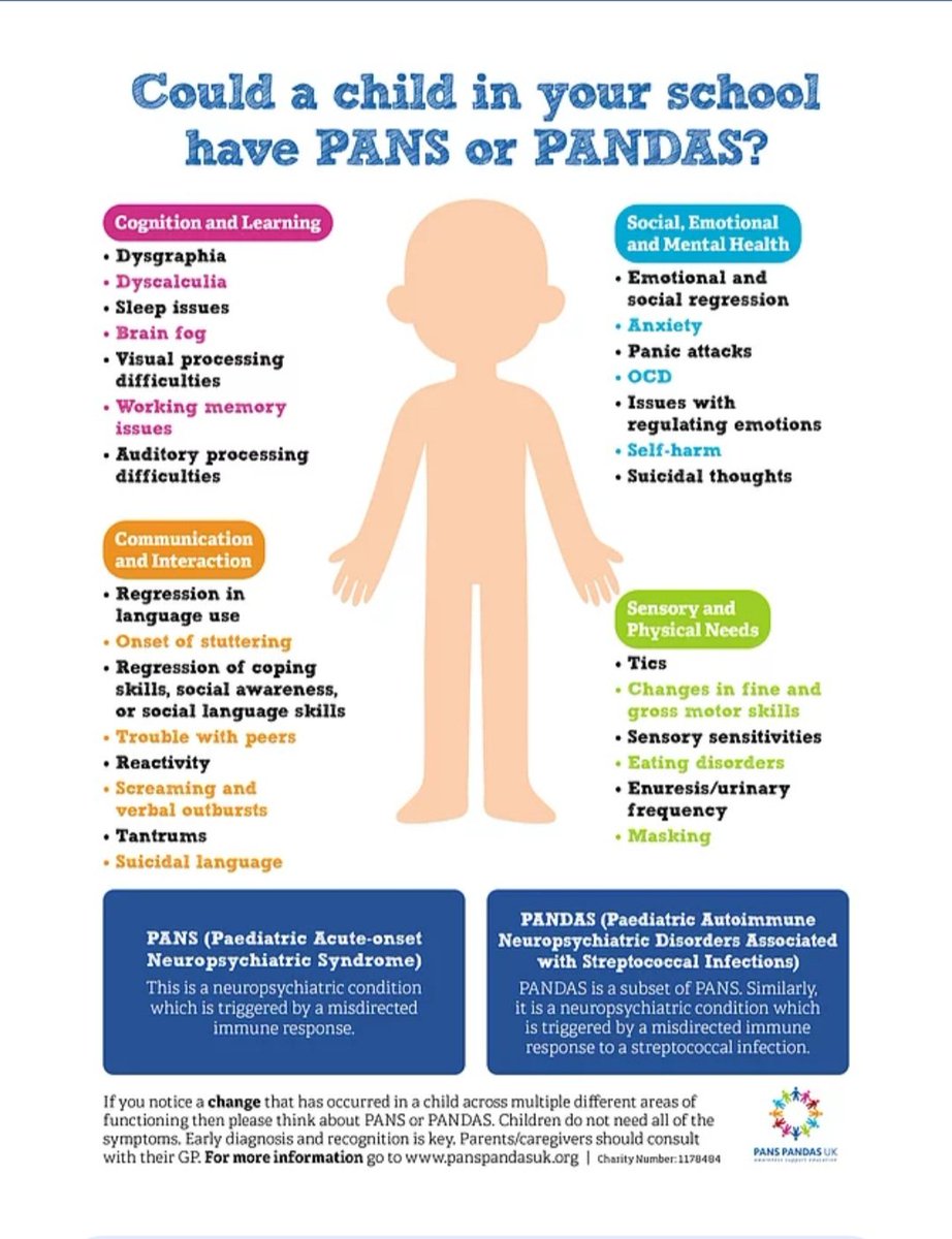 Mel Payne tweet media