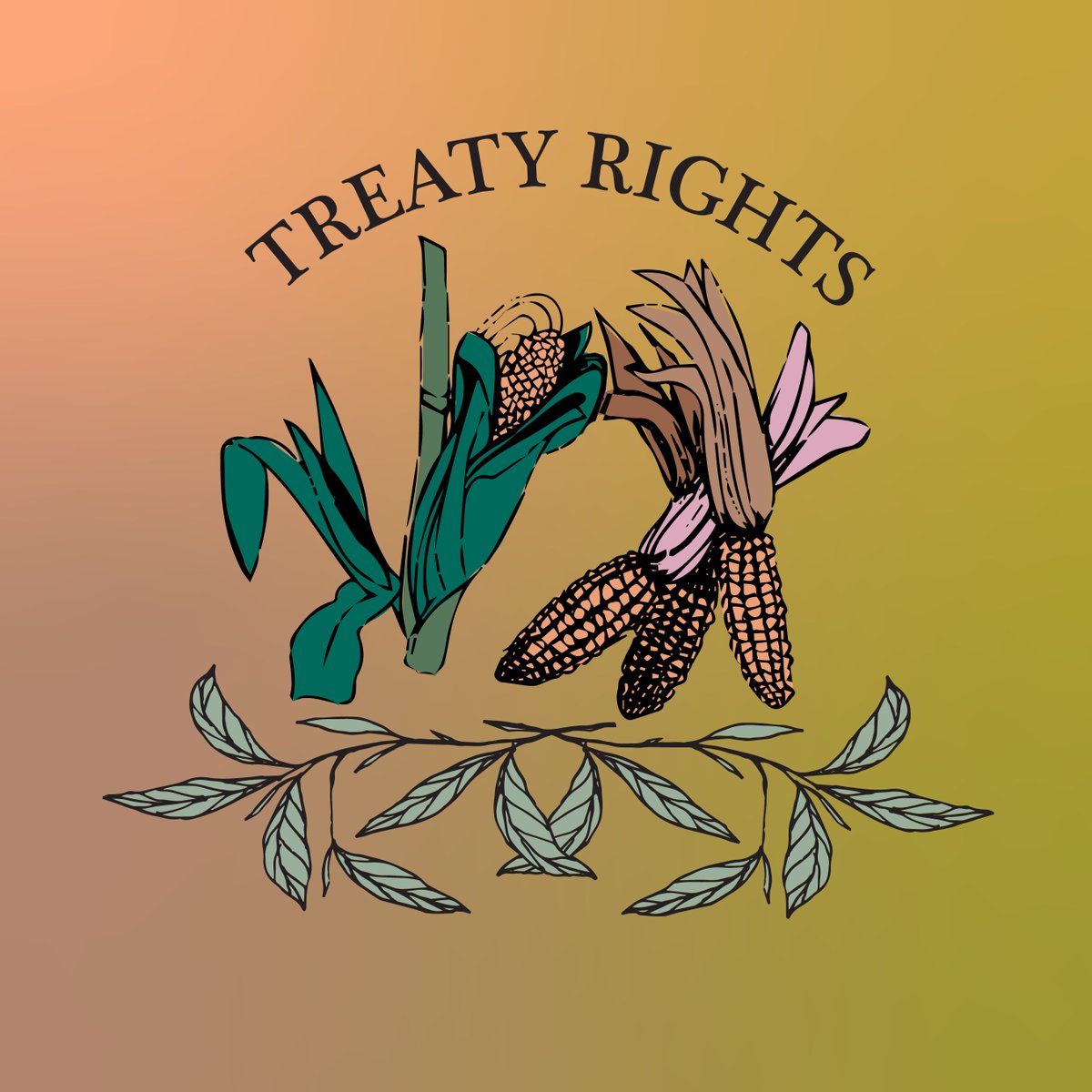 gayogohono's tweet photo. Support #Gayogohono freedom of self determination and recognition of #TreatyRights! Treaties are made between #sovereign nations. The Gayogohono (Cayuga) are a sovereign nation of the #haudenosaunee  confederacy.
Visit https://t.co/HyDxPZMmC8 to donate and learn more. https://t.co/wQQTQ38you