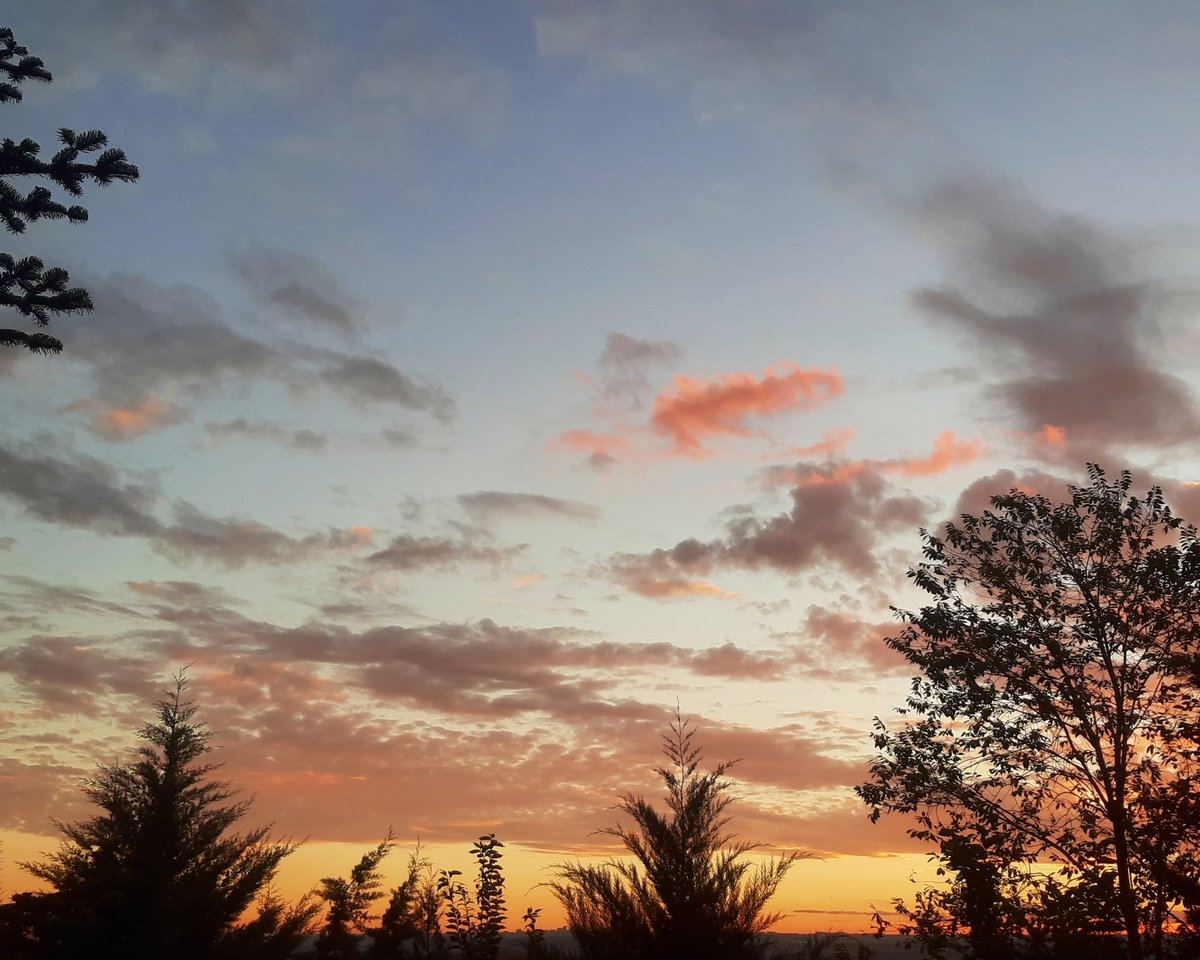celesgalan64's tweet photo. #órdagoalagrande
A la #nube , claro 😄😄😄
#atatdecer
#Madrid https://t.co/0AaAvxX8pl