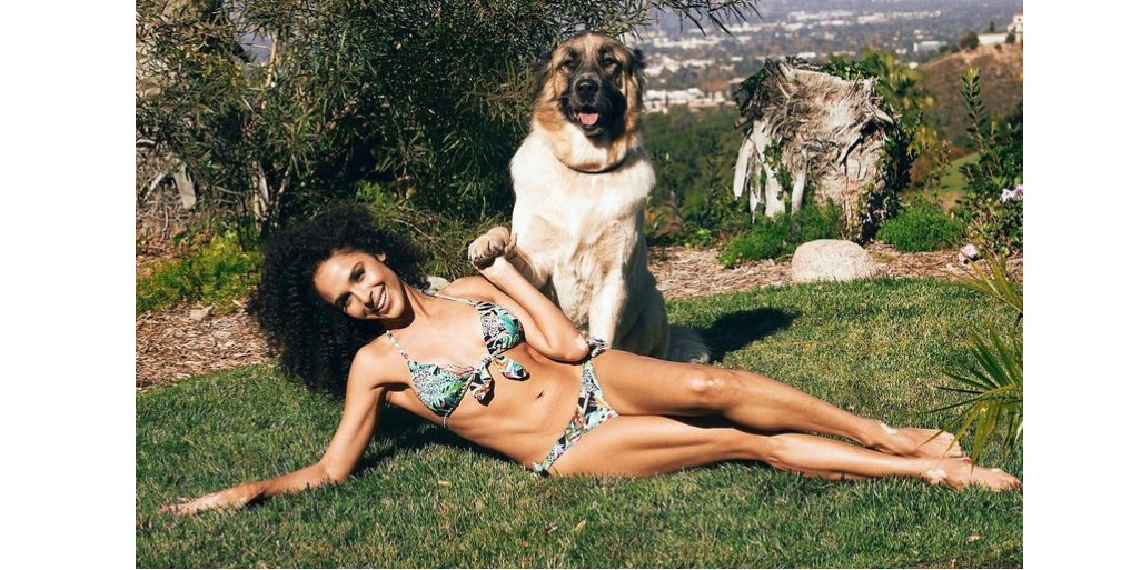 Trunkettes Swimwear tweet media