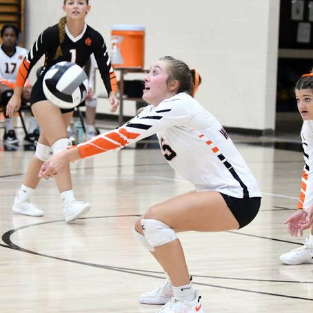 Lady Hurricane VB🏐 tweet media