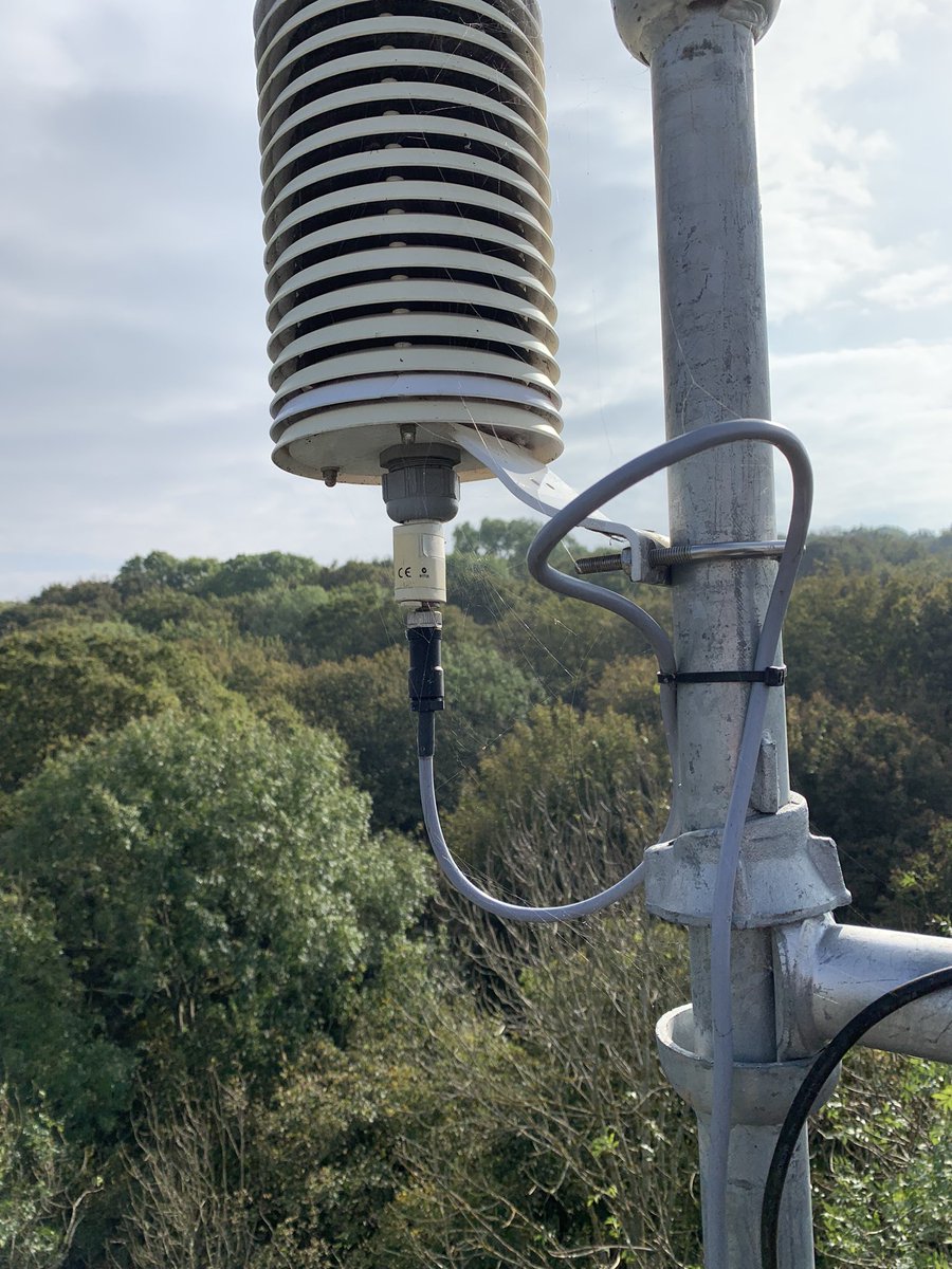 David Green tweet media