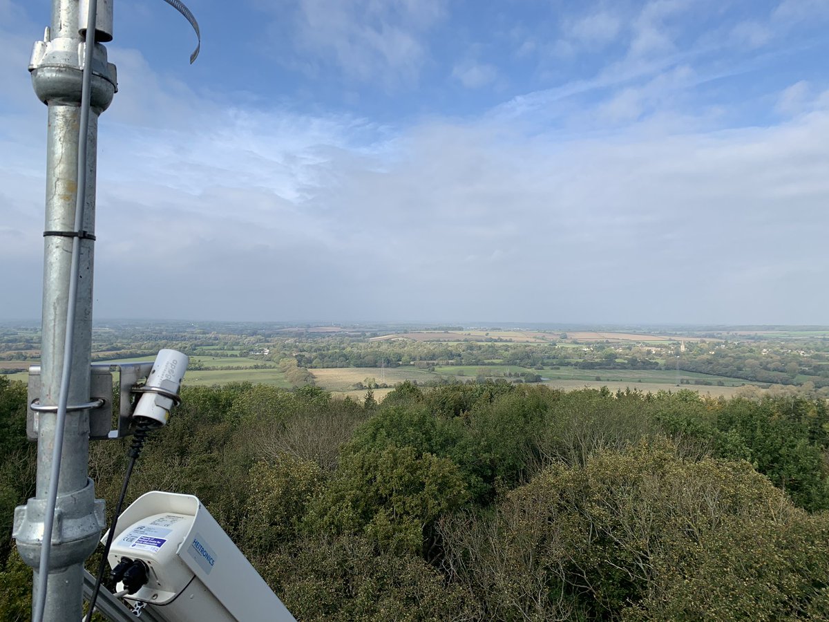 David Green tweet media