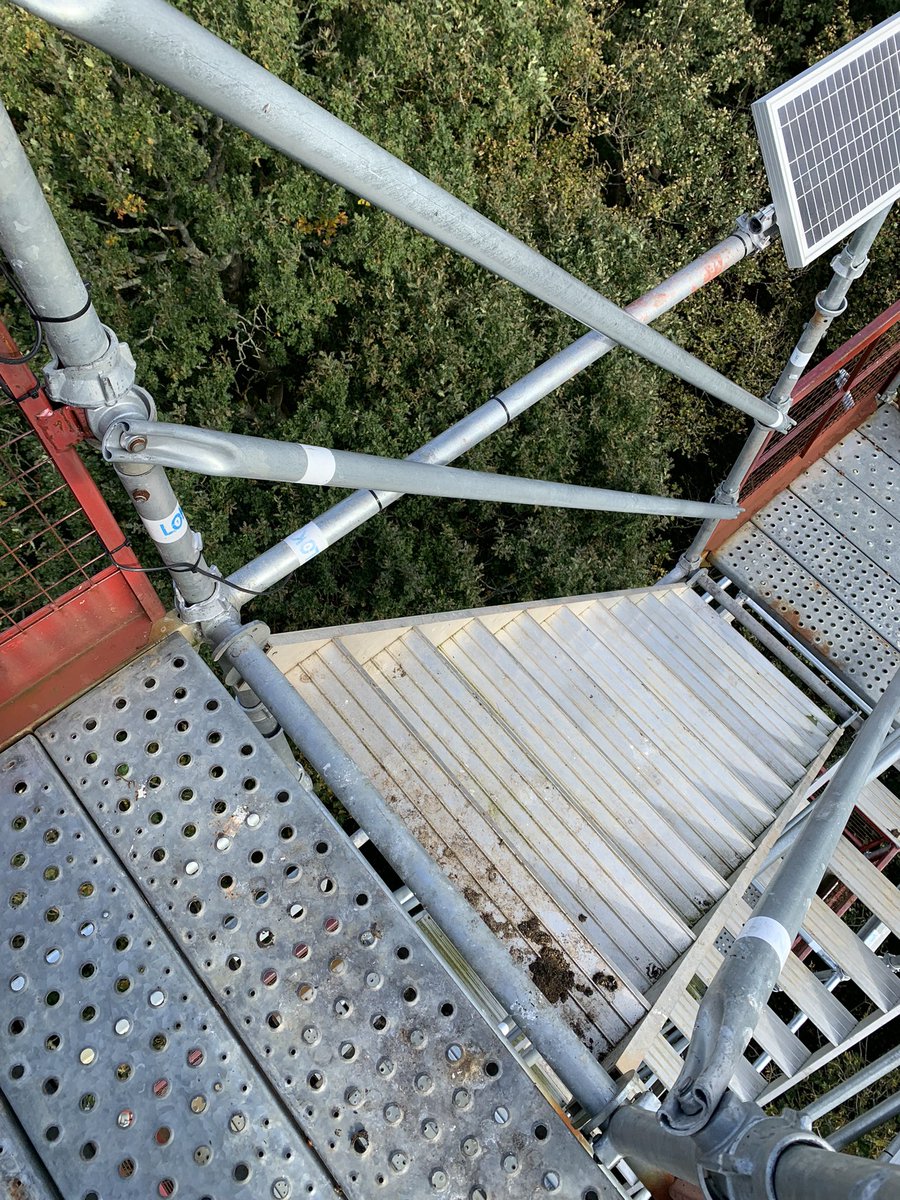 David Green tweet media