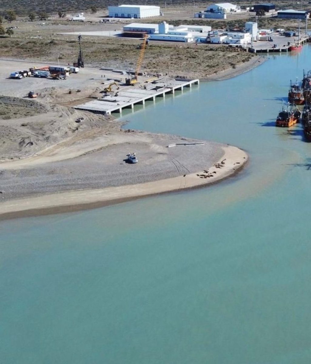 langostinopat's tweet photo. Enorme preocupación en el Puerto de Rawson. La construcción del muelle nuevo arrojó un montón de sedimentos al río obstruyendo el canal.
En la temporada no se va a poder trabajar? Quien se va a hacer cargo?
Comenzaron los gritos, discusiones y llamados, pero nadie acusa recibo https://t.co/rTTG43yAlH
