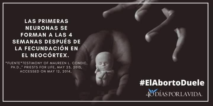 DignaProvida's tweet photo. Tu como hombre también sufres las consecuencias de esta lamentable decisión. 

#noqueremosaborto 
#unacorteprovida 
#elabortoduele 
#colombiaganacuando 

Defiende la Vida desde la Concepción hasta la muerte natural https://t.co/ppFWkr80TR