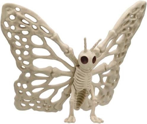 Butterfly skeleton Butterfly wings, Butterfly art, Butterfly