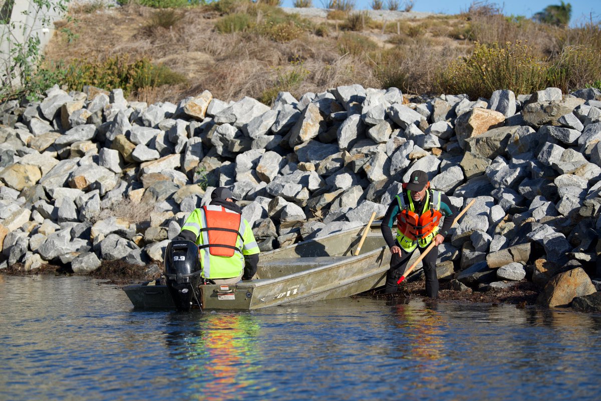 USCGSouthwest's tweet photo. Scientists from @SD_Nature surveyed oil spill impact in #SanElijo Lagoon in @SanDiegoCounty. Partner agencies are working to ensure #cleanup efforts have minimal impact on the #environment. #California #OCoilspill #wildlife https://t.co/Yx0FSVarSP