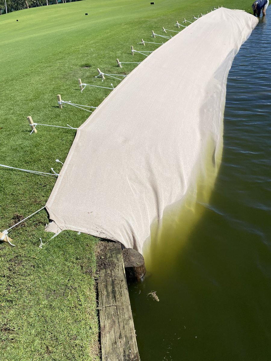 Nate Watkin tweet media