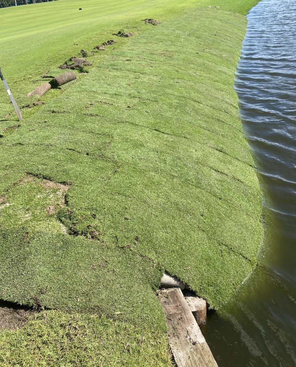 Nate Watkin tweet media