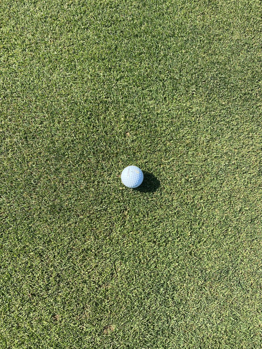 FCGCgrounds's tweet photo. The focus these past few weeks has been in fwy and app. grooming. Alternating half/half cuts each mow, brushing, and lowering heights have made a huge difference in the quality of these areas. The goal is to be tight and upright https://t.co/OvWVJVwXap