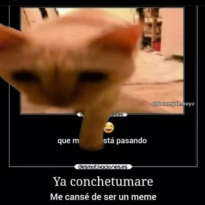 MemesNoContexto's tweet photo. https://t.co/GCzWPoSJHq