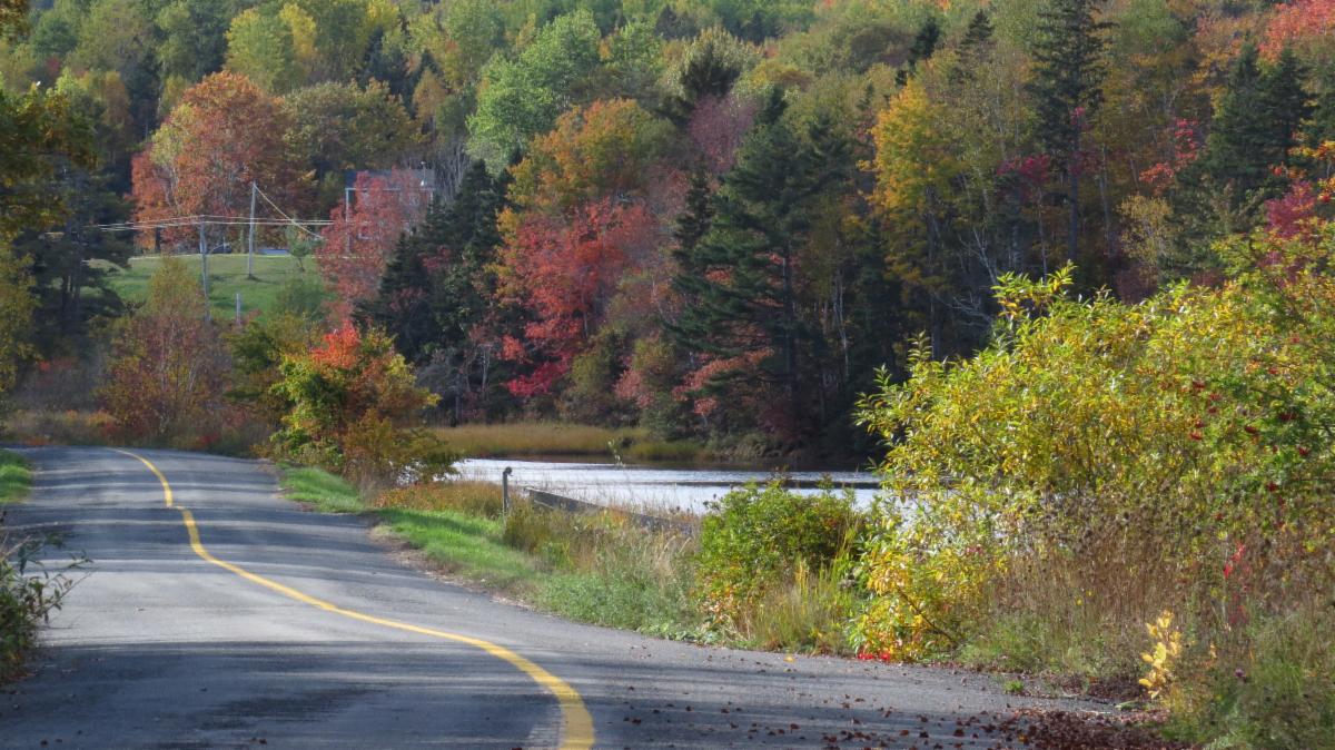 Explore the highways and biways of Nova Scotia at this beautiful time of year.  Use "Out and About Antigonish" for your local guide.  

#autumnleaves #antigonishcounty #outandaboutantigonish #visitnovascotia